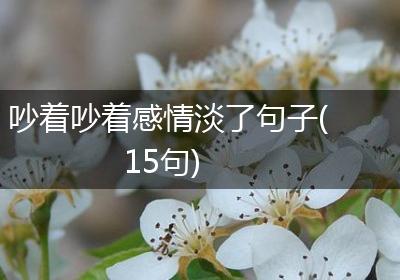 吵着吵着感情淡了句子(15句)