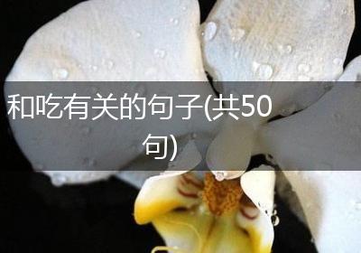 和吃有关的句子(共50句)