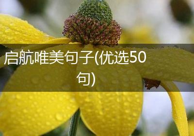 启航唯美句子(优选50句)