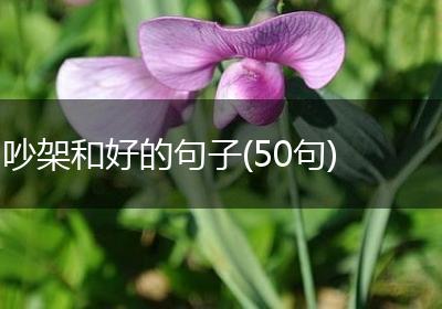 吵架和好的句子(50句)