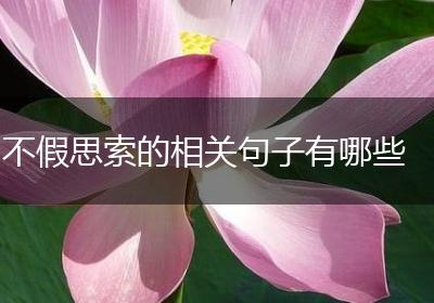 不假思索的相关句子有哪些