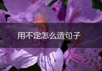 用不定怎么造句子