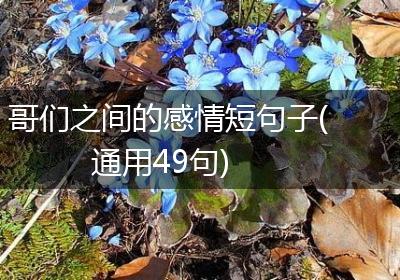 哥们之间的感情短句子(通用49句)