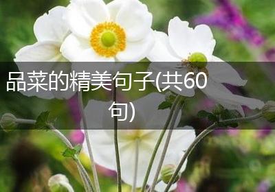 品菜的精美句子(共60句)