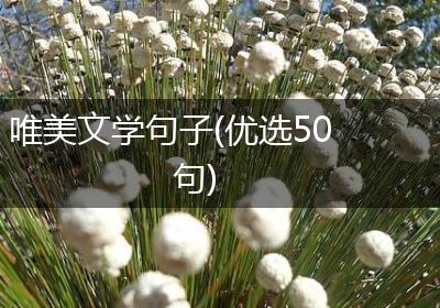 唯美文学句子(优选50句)