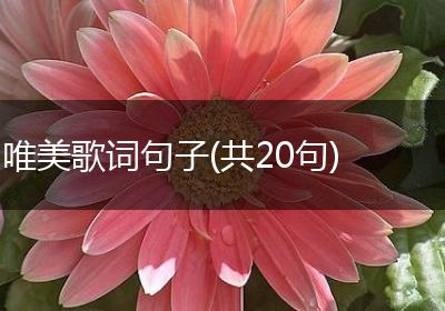 唯美歌词句子(共20句)