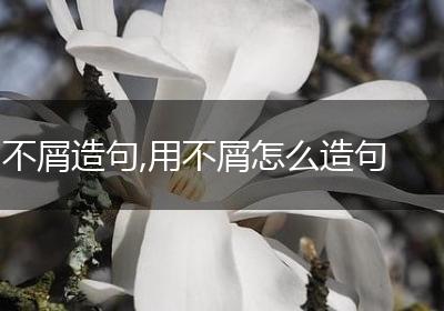 不屑造句,用不屑怎么造句