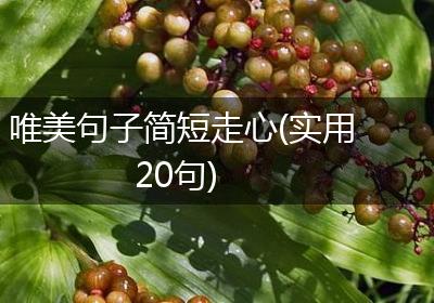唯美句子简短走心(实用20句)
