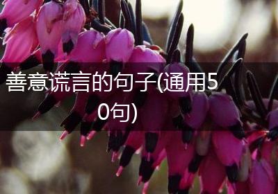 善意谎言的句子(通用50句)