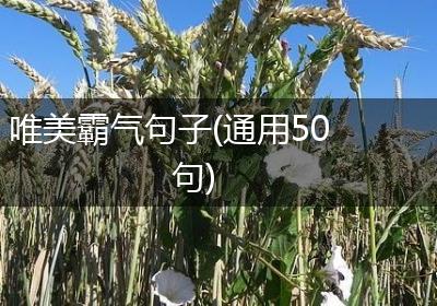 唯美霸气句子(通用50句)
