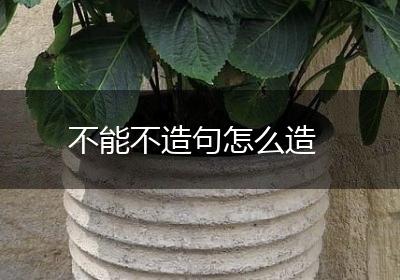 不能不造句怎么造