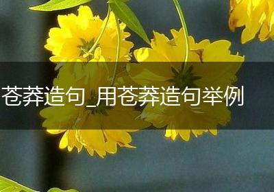 苍莽造句_用苍莽造句举例