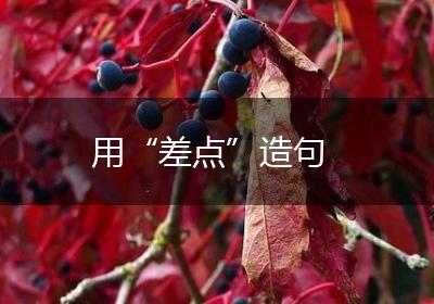 用“差点”造句