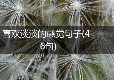 喜欢淡淡的感觉句子(46句)