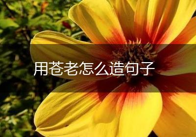 用苍老怎么造句子