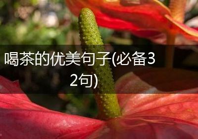 喝茶的优美句子(必备32句)