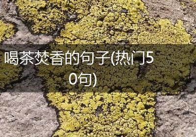 喝茶焚香的句子(热门50句)