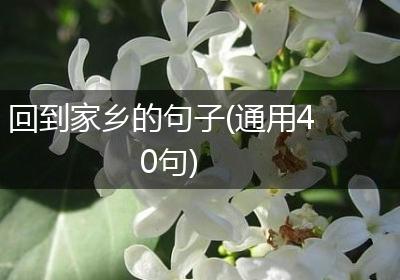 回到家乡的句子(通用40句)