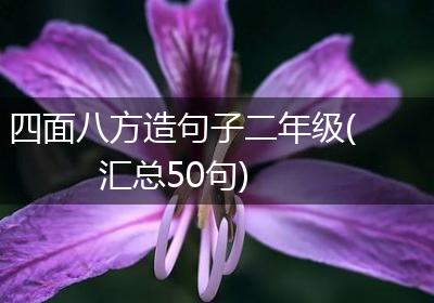 四面八方造句子二年级(汇总50句)