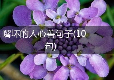 嘴坏的人心善句子(10句)