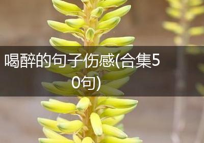 喝醉的句子伤感(合集50句)