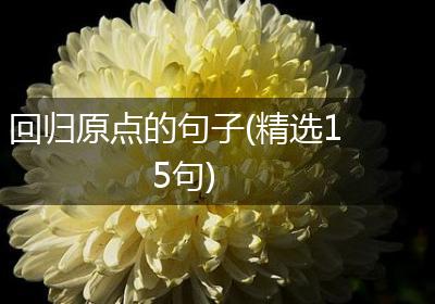 回归原点的句子(精选15句)