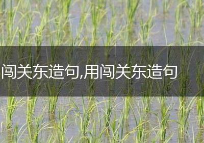 闯关东造句,用闯关东造句