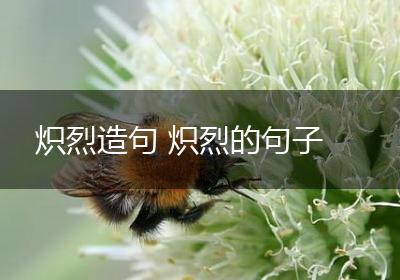 炽烈造句 炽烈的句子
