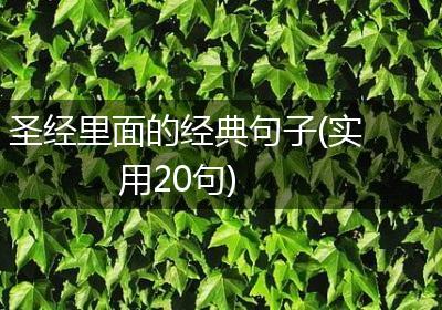 圣经里面的经典句子(实用20句)