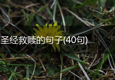 圣经救赎的句子(40句)