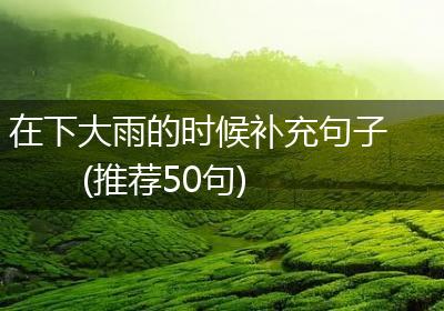 在下大雨的时候补充句子(推荐50句)