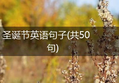圣诞节英语句子(共50句)
