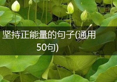 坚持正能量的句子(通用50句)