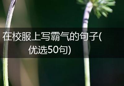 在校服上写霸气的句子(优选50句)