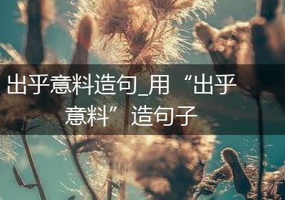 出乎意料造句_用“出乎意料”造句子