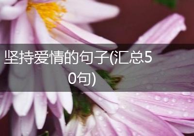 坚持爱情的句子(汇总50句)