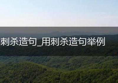 刺杀造句_用刺杀造句举例