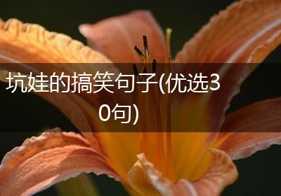 坑娃的搞笑句子(优选30句)