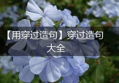 【用穿过造句】穿过造句大全