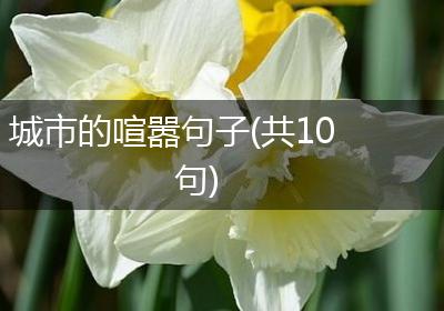 城市的喧嚣句子(共10句)