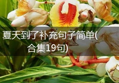 夏天到了补充句子简单(合集19句)