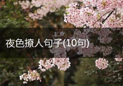 夜色撩人句子(10句)