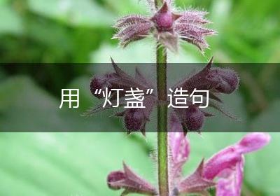 用“灯盏”造句