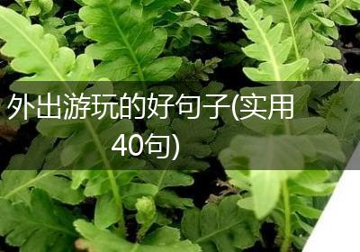外出游玩的好句子(实用40句)