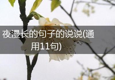 夜漫长的句子的说说(通用11句)