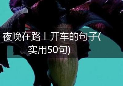 夜晚在路上开车的句子(实用50句)