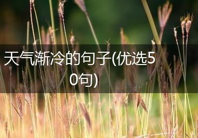 天气渐冷的句子(优选50句)