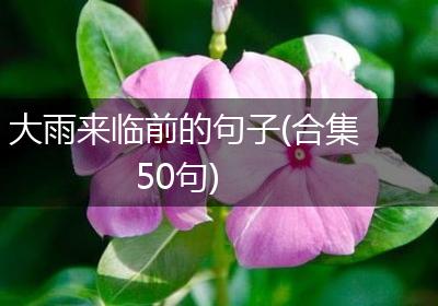 大雨来临前的句子(合集50句)
