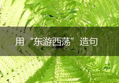 用“东游西荡”造句