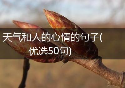 天气和人的心情的句子(优选50句)